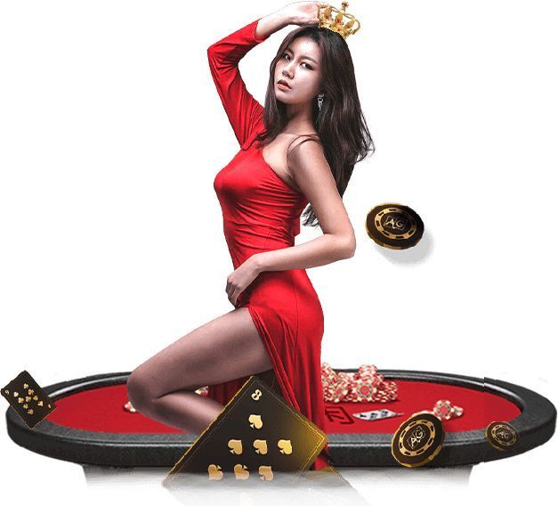 新普京comV13.24.4安卓版 0